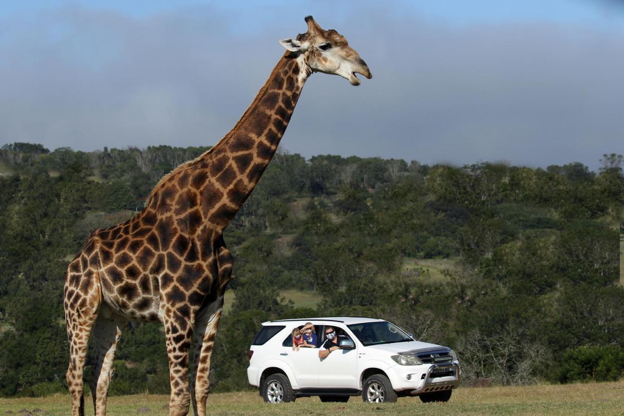 Kragga Kamma Game Park Villa Port Elizabeth Luaran gambar