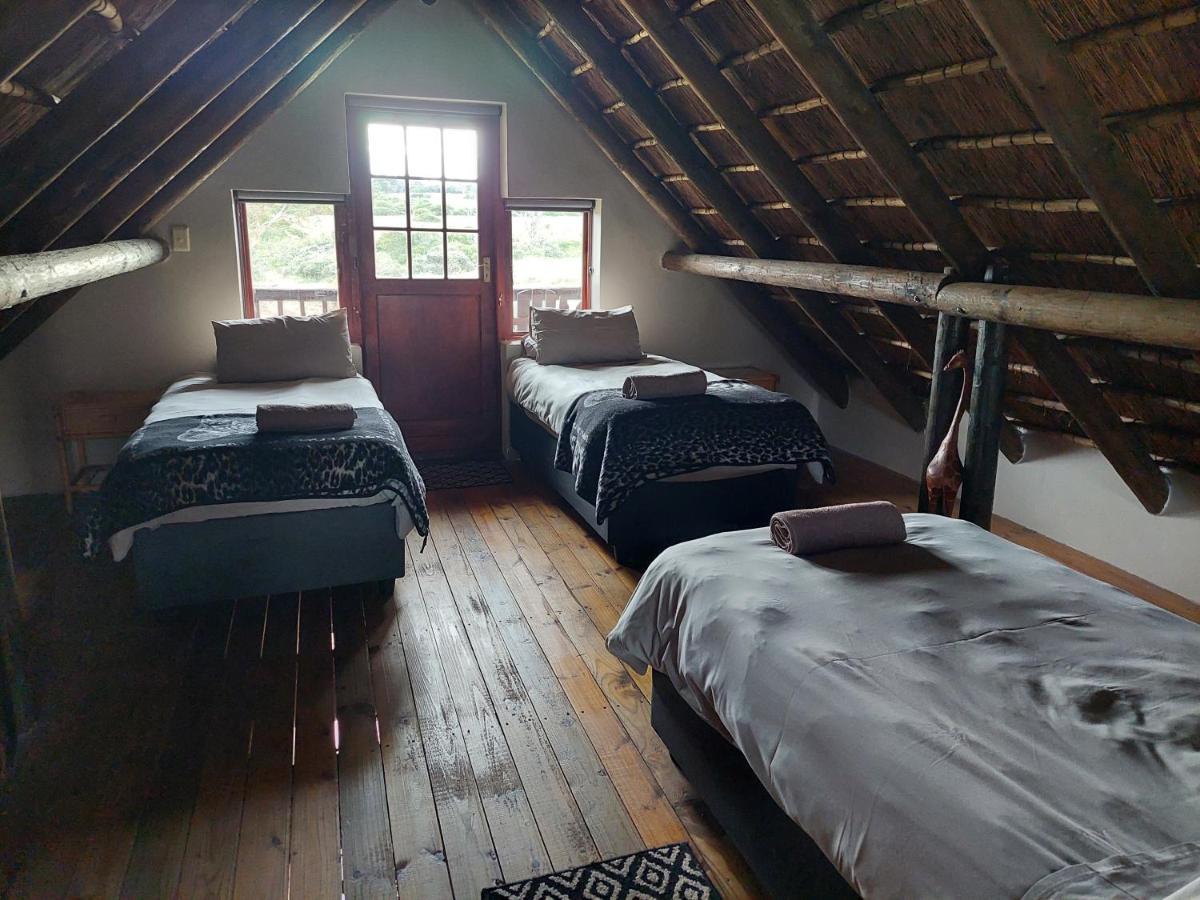 Kragga Kamma Game Park Villa Port Elizabeth Luaran gambar