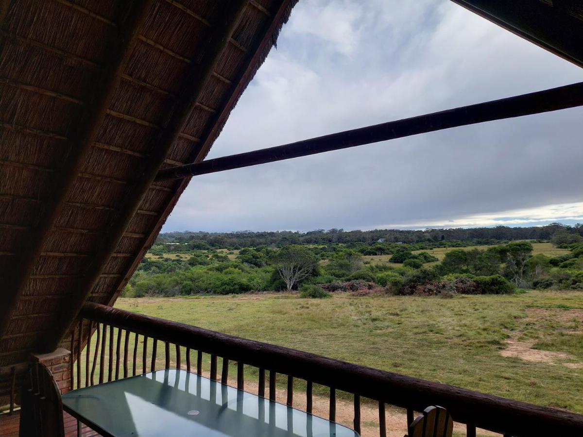 Kragga Kamma Game Park Villa Port Elizabeth Luaran gambar